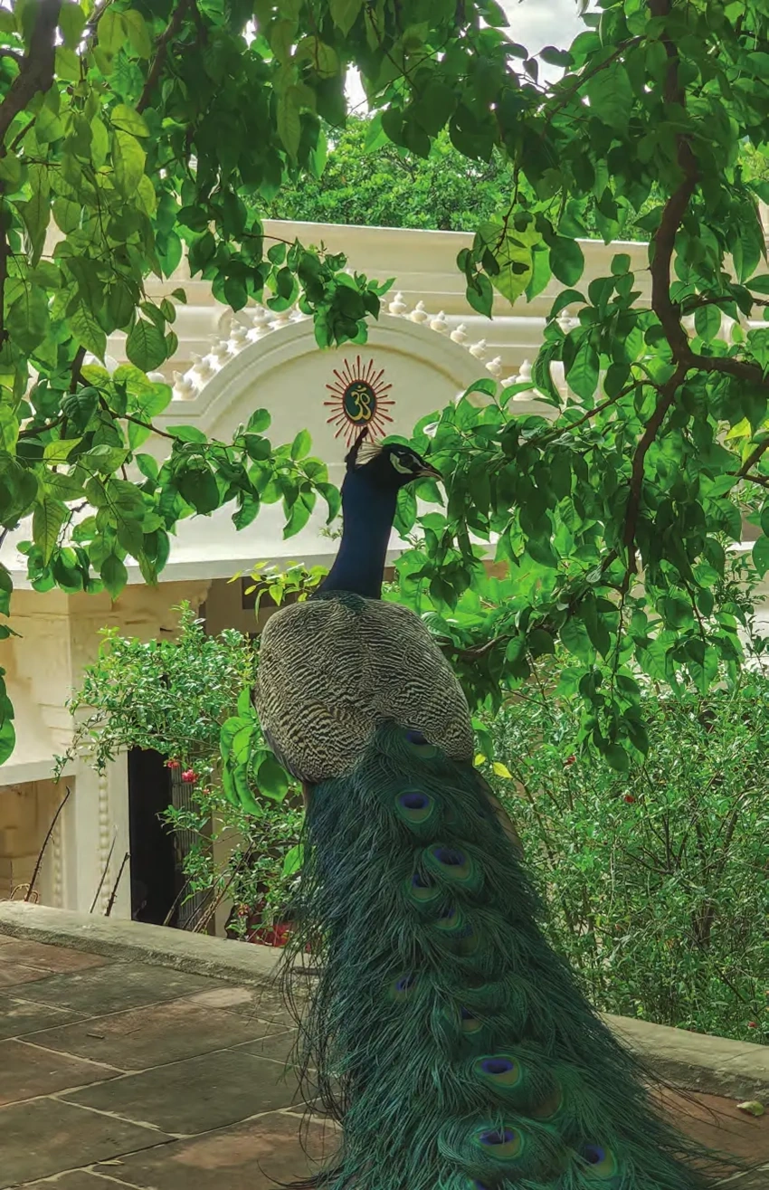 Jul 2025, back cover