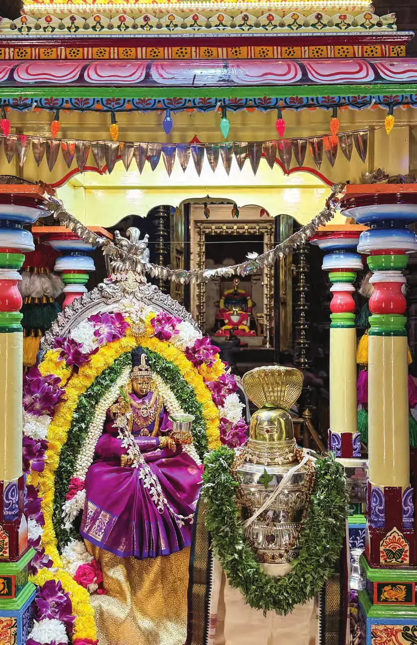 Oct 2025, back cover