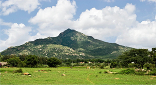 Jayanti Arunachala